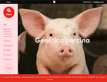 Tablet Screenshot of gepork.es